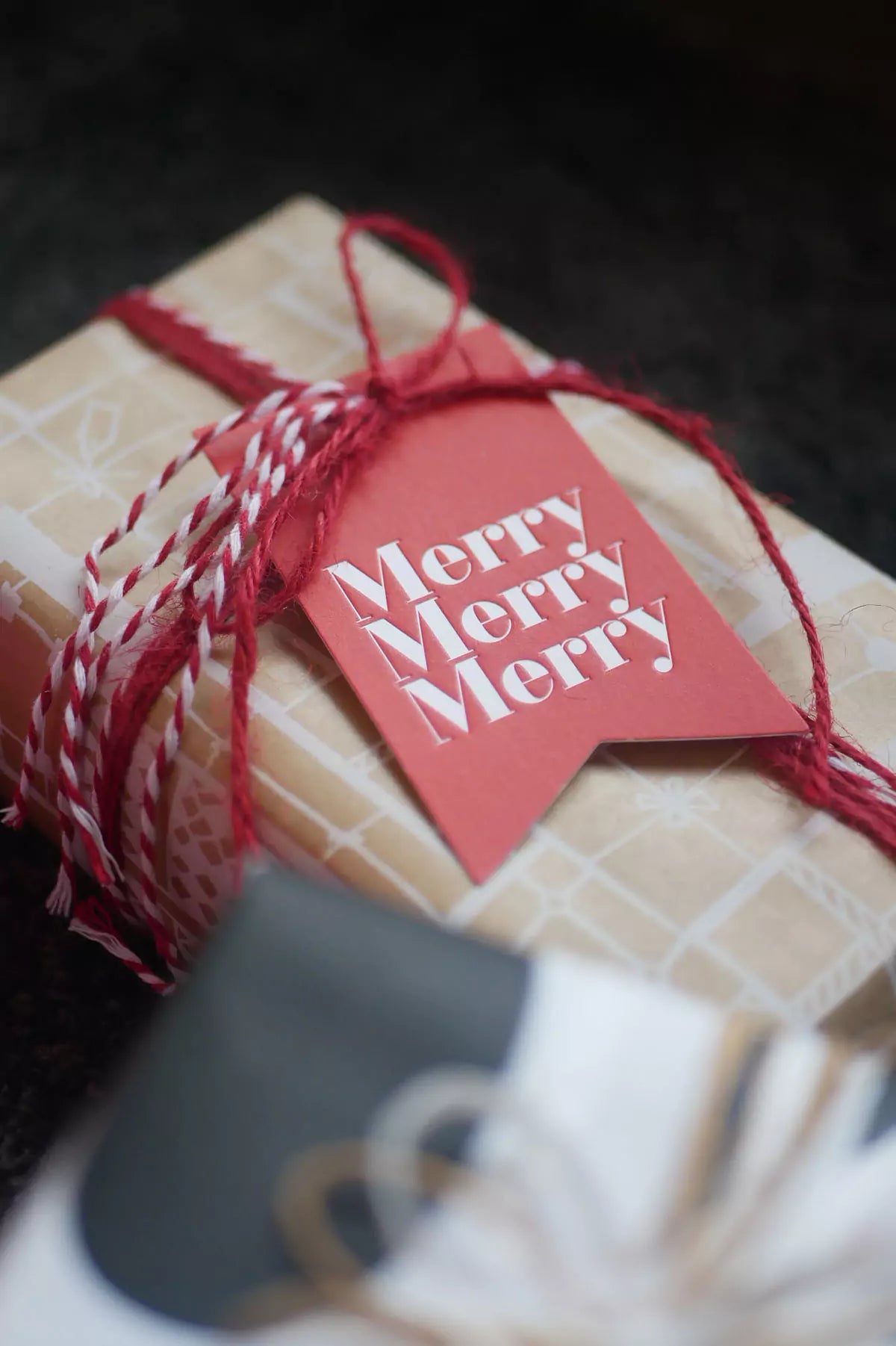 Etiqueta Navideña Surtida